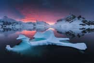 L’Antarctique, le « continent blanc », est une région magique pour le photographe qui aime jouer avec les couleurs et la lumière. Des montagnes de glace, d’énormes icebergs, une nature presque intacte. L’ensemble s’offrant sous une perspective chaque jour, chaque heure, différente. Et la possibilité aussi de saisir dans toute sa beauté, la richesse de la faune locale, des fameux manchots empereurs aux baleines bleues ou aux otaries à fourrure en passant par les léopards de mer. Un spectacle à immortaliser… avant que le réchauffement climatique ne nous en prive. © Daniel Kordan, Tous droits réservés