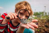 Il existe de nombreuses activités pour découvrir et apprendre l’écologie aux enfants. © nadezhda1906, Adobe Stock