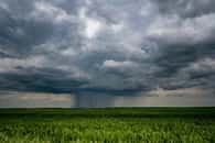 Des nuages sont ensemencés dans l'espoir de provoquer des précipitations et de contrer la sécheresse. © hiv360, Adobe Stock