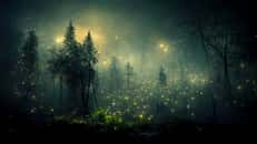 Attention, la pollution lumineuse perturbe la biodiversité de votre jardin ! © monicore, Pixabay