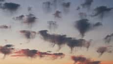 Les nuages méduses peuvent se présenter en bancs dans le ciel, comme les animaux marins gélatineux dans la mer. © EdBennettPhotography, Adobe Stock
