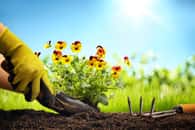 Pensez à préparer votre jardin pour l'arrivée des beaux jours © lily, Adobe Stock