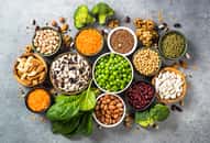 En intégrant ces diverses sources de protéines végétales dans votre alimentation quotidienne, vous pouvez non seulement répondre à vos besoins nutritionnels mais aussi profiter d'une expérience culinaire riche et savoureuse. © nadianb, Adobe Stock