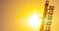 La canicule de 2003 reste la plus sévère qu’a connue notre pays. © Corri Seizinger, Adobe Stock