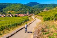 Circuler à vélo sur les routes des vins d'Alsace est aujourd'hui chose aisée avec le développement des infrastructures dédiées aux cyclistes. © Pkazmierczak, Adobe Stock
