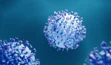 Le métapneumovirus humain est proche du VRS (virus respiratoire syncytial). © Artur, Adobe Stock