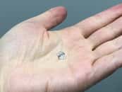 Ce diamant du Botswana révèle que d'importantes quantités d'eau sont stockées dans les profondeurs du manteau terrestre. © Tingting Gu, Gemological Institute of America, New York, NY, États-Unis