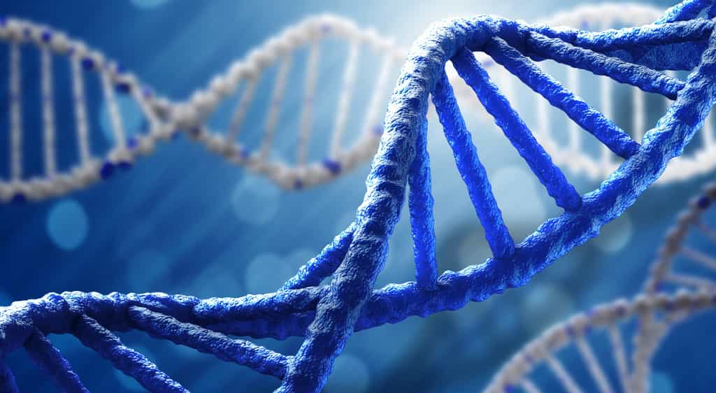 L'ADN est le symbole de la vie. Mais nul ne sait comment il est apparu. Peut-être à partir de l'ARN ou alors d'une autre voie de synthèse il y a au moins quatre milliards d'années. © Sutterstock, Sergey Nivens