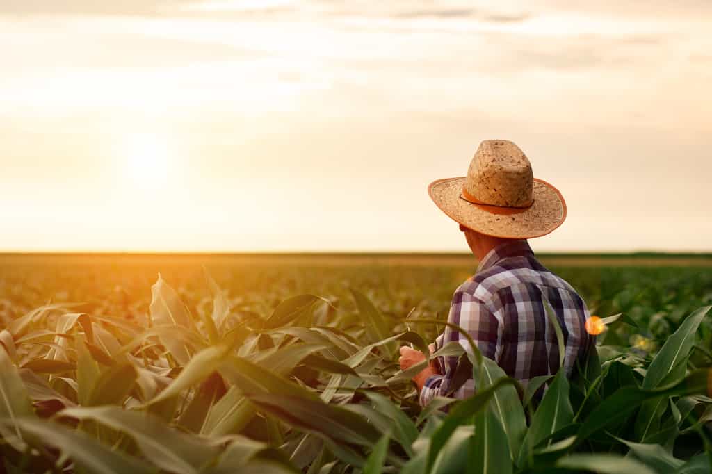 L'agriculture regorge de métiers peu connus à l'utilité indiscutable. © PointImages, Adobe Stock