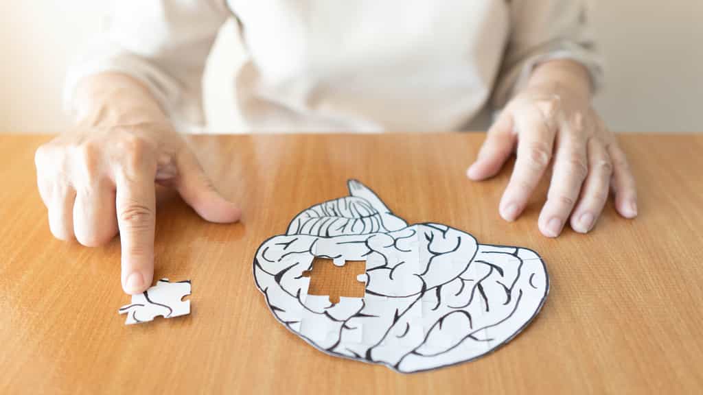 Un cerveau en puzzle. © Orawan, Fotolia
