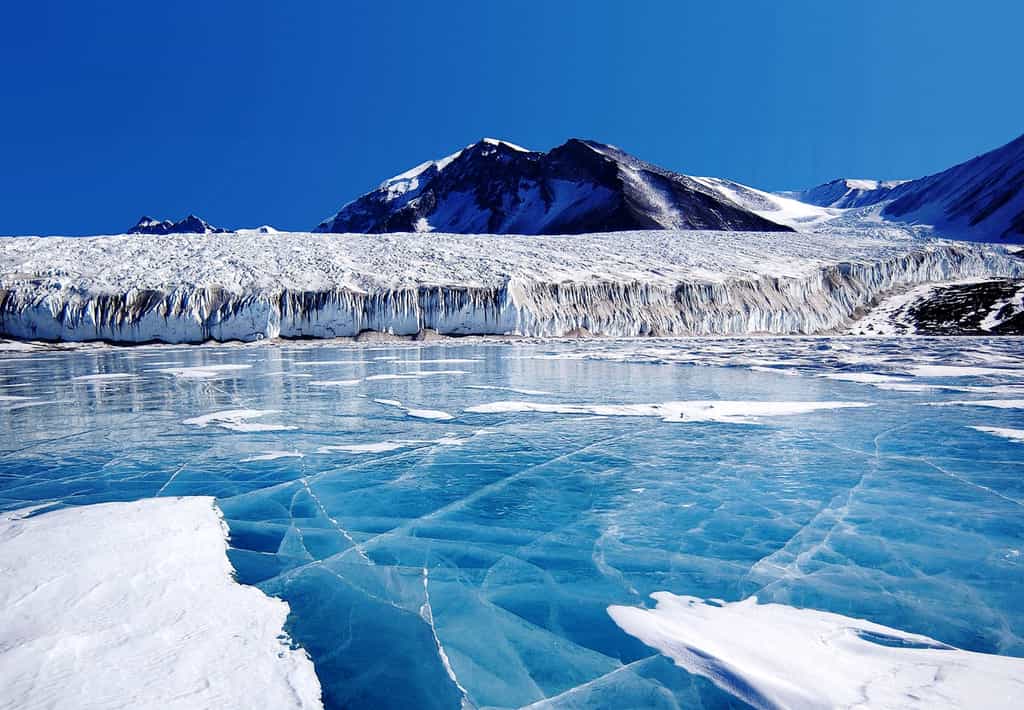 Sous la glace de l'Antarctique, dans une eau à -1°C et presque sans lumière se maintiennent des écosystèmes d'une étonnante biodiversité. © Wikipédia, DP