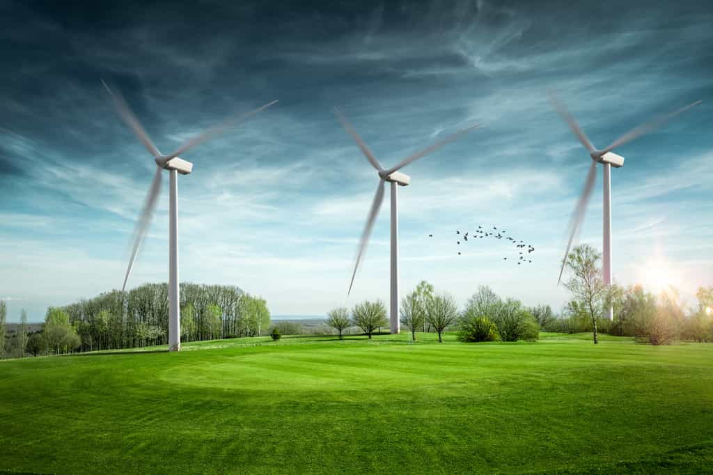 L'énergie éolienne, comme les autres sources renouvelables, est sous-exploitée en France. © Chlorophylle, Fotolia