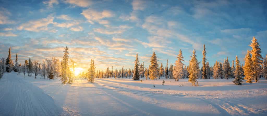 Le jour du solstice d'hiver, le soleil se lève tard, ne monte pas haut et se couche tôt. © Delphotostock, Fotolia