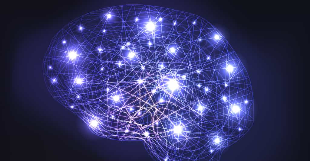 Des chercheurs ont mis au point un algorithme capable de déterminer le QI d’une personne à partir d’une IRM de son cerveau au repos. © pict rider, Fotolia