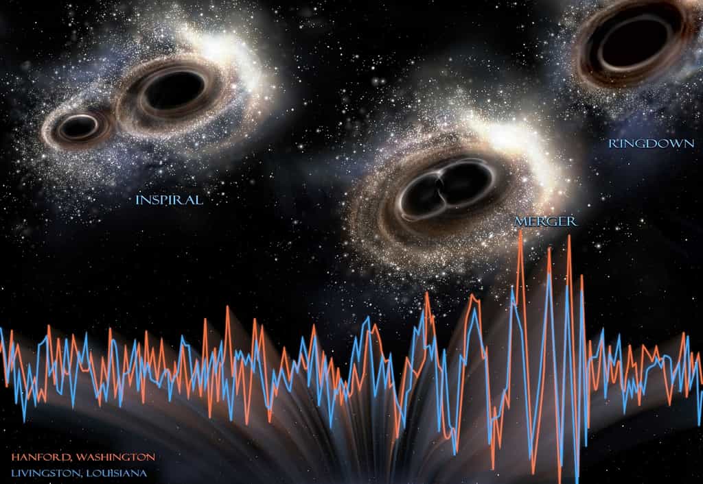 Inspiral, merger, ringdown : ce sont les noms anglais des trois étapes qui ont conduit deux trous noirs à se rapprocher en décrivant une spirale à la suite des pertes d'énergies sous forme d'ondes gravitationnelles, puis à entrer en collision pour finalement donner un seul trou noir. L'horizon des évènements de l'objet compact final a vibré, telle une cloche frappée, en émettant des ondes gravitationnelles. L'évènement a duré moins d'une seconde. Les courbes montrent les signaux détectés par les deux interféromètres Ligo, à Handford, et à Livingston, aux États-Unis, le 14 septembre 2015 et elles sont en correspondance avec la chronologie des évènements. © Ligo, NSF, Aurore Simonnet