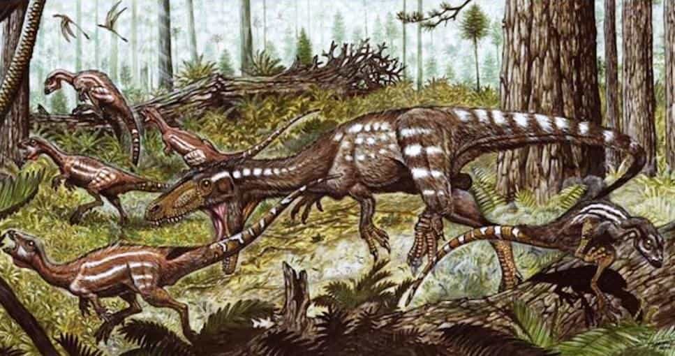 Tachiraptor, un dinosaure théropode de 1,5 mètres de long (au centre) qui vivait dans ce qui est maintenant le Venezuela il y a un peu plus de 200 millions d'années, est un proche cousin des dinosaures qui ont évolué plus tard pour donner les grands carnivores tels que les allosaures. © Maurilio Oliveira