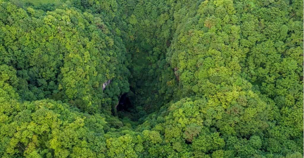Ces gouffres découverts en Chine se trouvent dans une forêt humide et, difficilement accessibles, abritent une biodiversité préservée. © Ma Lie in Xi'an, Chinadaily.com.cn