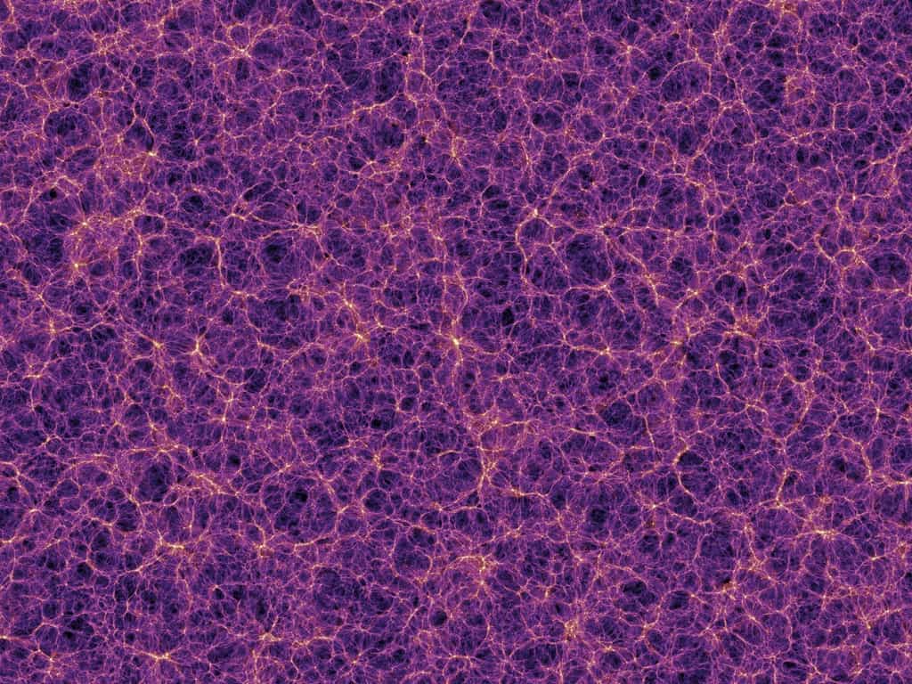 Un extrait d'une célèbre simulation montrant la formation de filaments de galaxies et d'amas de galaxies sous l'effet de la matière noire. © V. Springel et al., MPA Garching, The Millenium Simulation