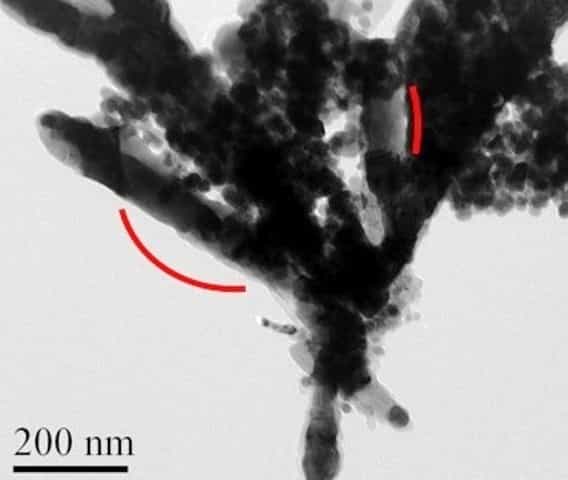 Prise avec un microscope électronique, cette image montre des barreaux ferromagnétiques contenant des nanoparticules de CoFe2C. Ils ouvrent une voie de recherche prometteuse pour des alternatives aux aimants permanents à base de terres rares. © Virginia Commonwealth University