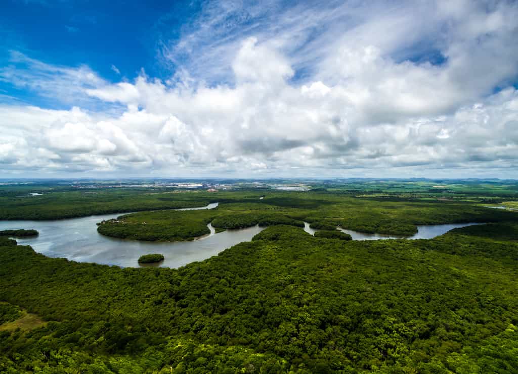 Méandre d'un cours d'eau du bassin amazonien. Les méandres bougent au cours du temps et érodent et construisent le paysage. © gustavofrazao, Fotolia