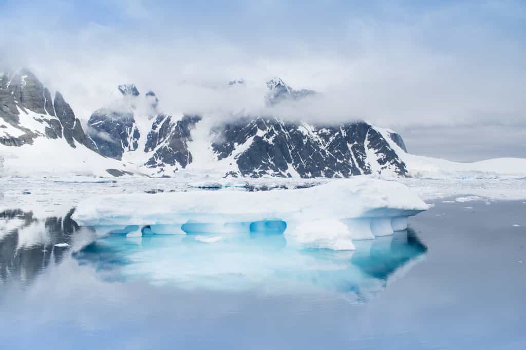 Une équipe de chercheurs anglais a cherché les causes les plus importantes de la fonte de la barrière de Larsen en Antarctique. © Iurii Sokolov, Adobe Stock
