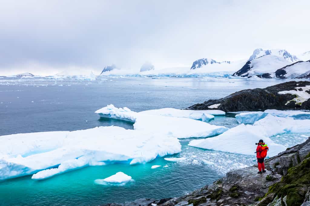 Loin sous la glace, des scientifiques ont découvert des formes de vie inattendues. © NicoElNino, Adobe Stock
