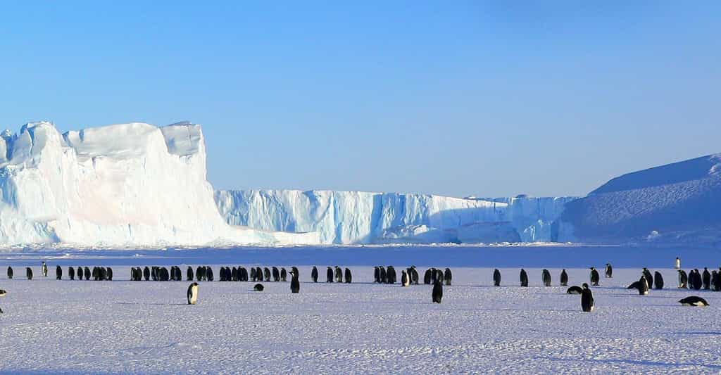 L’Antarctique méritera-t-il encore longtemps son surnom de continent blanc ? © MemoryCatcher, Pixabay, CC0 Public Domain