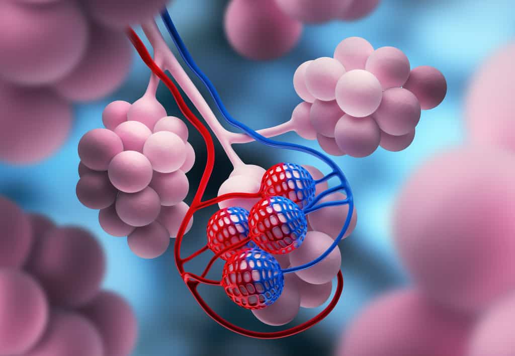 Le gène DGS2 permettrait&nbsp;aux cellules tumorales de se disséminer dans d'autres organes.&nbsp;© peterschreiber.media, Adobe Stock&nbsp;