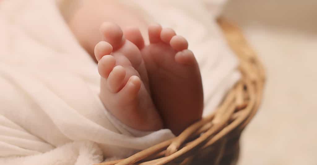 La première respiration de bébé est facilitée par le gène Pacap, exprimé dans les neurones du noyau rétro-trapézoïde. © CC0 Creative Commons
