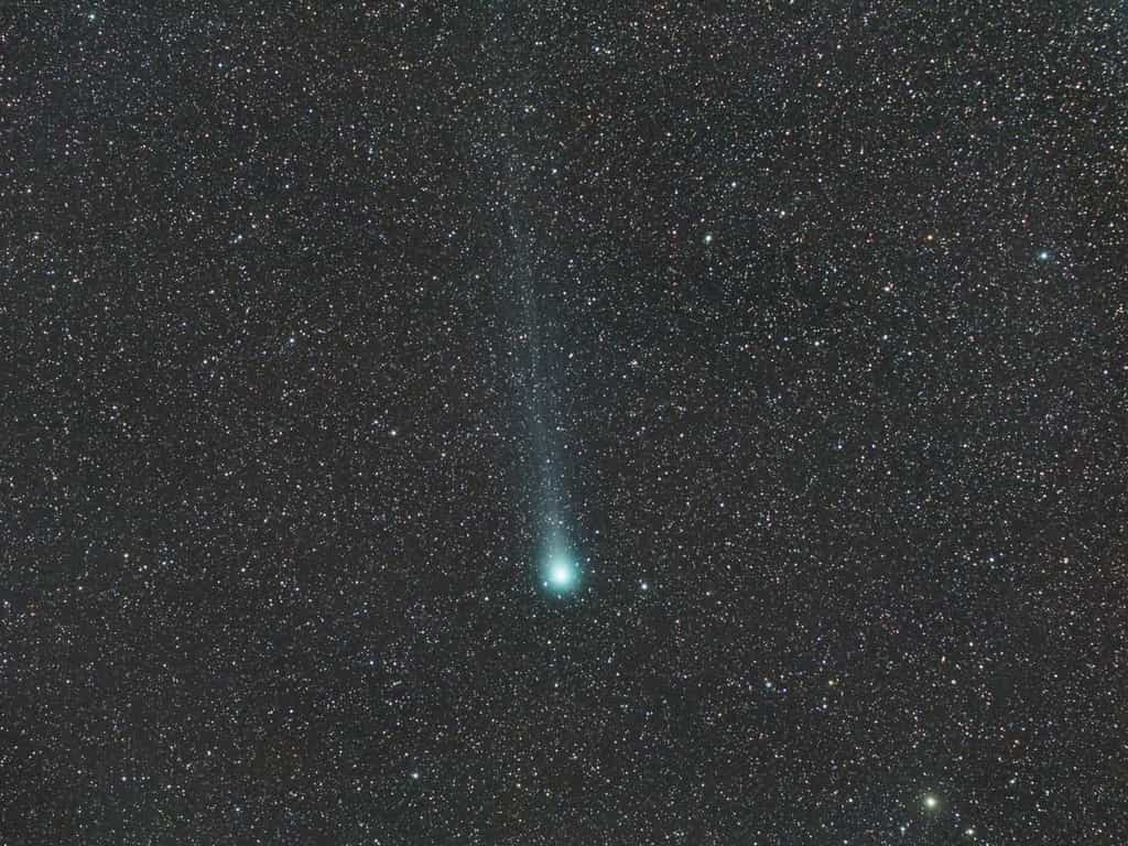 La comète C/2014 Q2 (Lovejoy) prise en photo le 12 février 2015. © Fabrice Noël