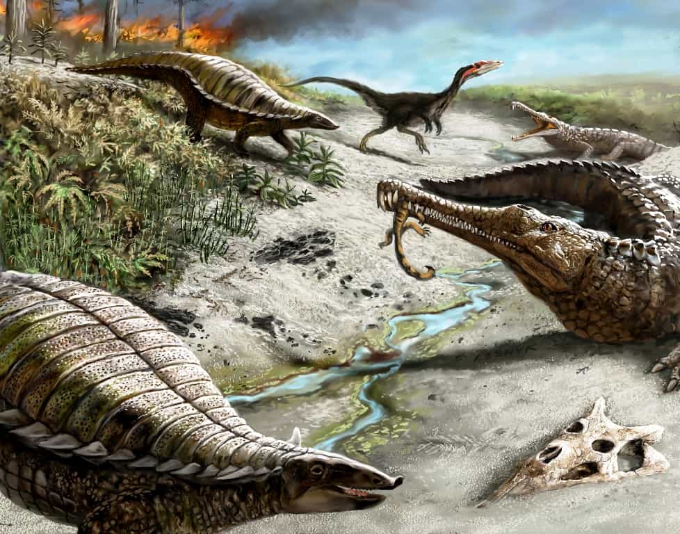 Il y a 212 millions d'années, dans ce qui est aujourd'hui le nord du Nouveau-Mexique, le paysage était sec, le climat chaud avec des feux de forêt fréquents. Les premiers dinosaures, comme le dinosaure carnivore en arrière-plan, un Coelophysis, étaient petits et rares. Des reptiles tels que les phytosaures à long museau et les aétosaures blindés étaient en revanche tout à fait communs. © Victor Leshyk