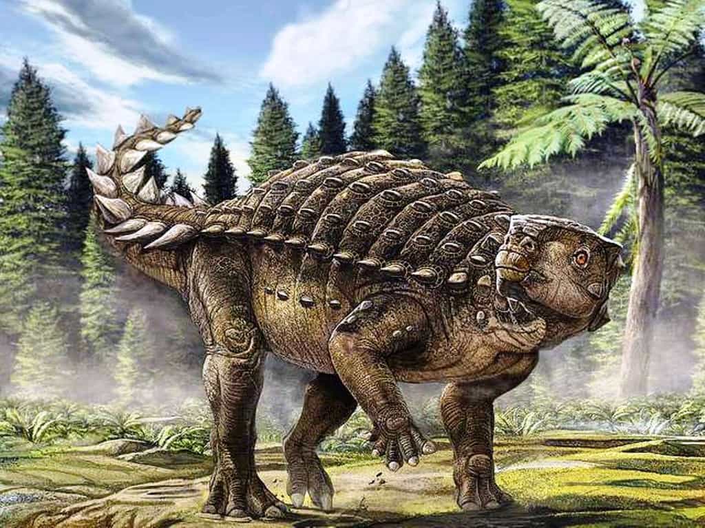Reconstitution d'artiste du nouveau dinosaure australien Kunbarrasaurus ieversi. © Australian Geographic (image utilisable seulement pour un texte en relation avec cette découverte)