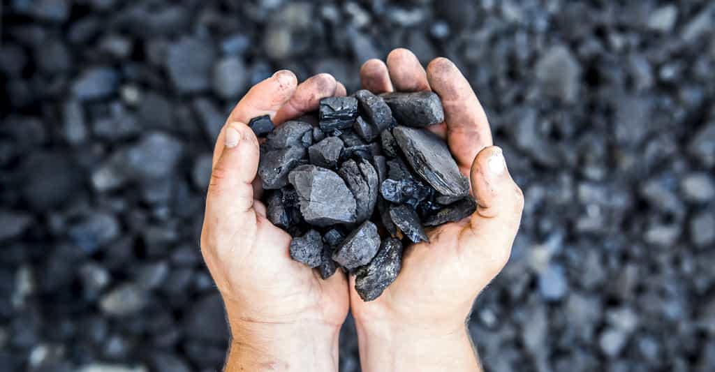 Le charbon est qualifié d’énergie fossile, car issu de la décomposition de matières organiques. © fotosr52, Fotolia