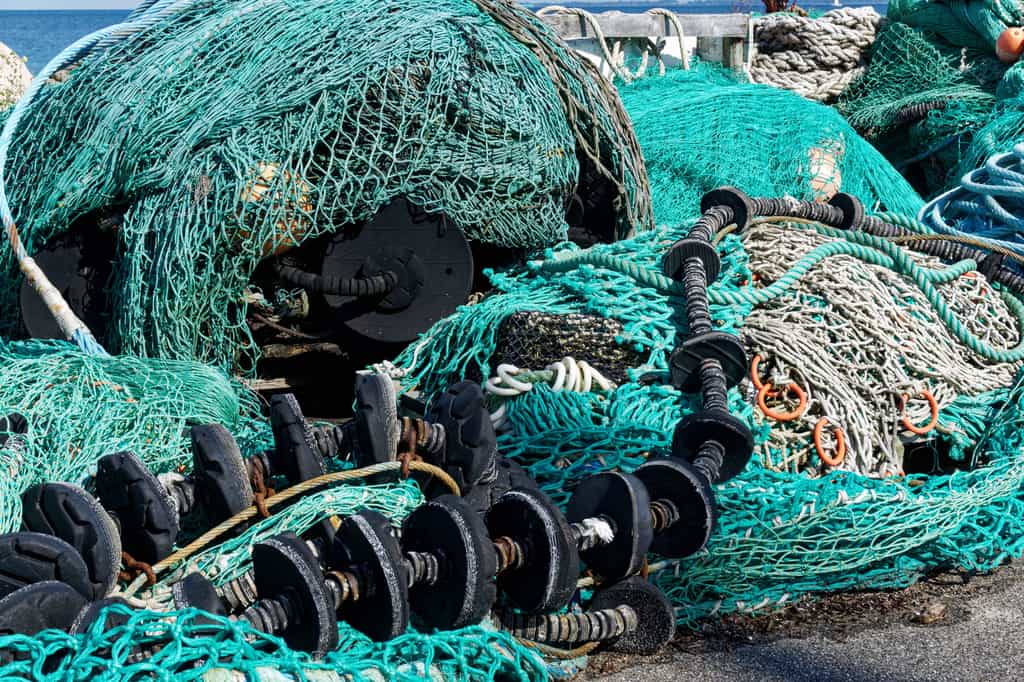 Les filets de pêche sont meurtriers pour les espèces ciblées commercialement comme pour celles menacées de disparition. © Pixelheld, Adobe Stock