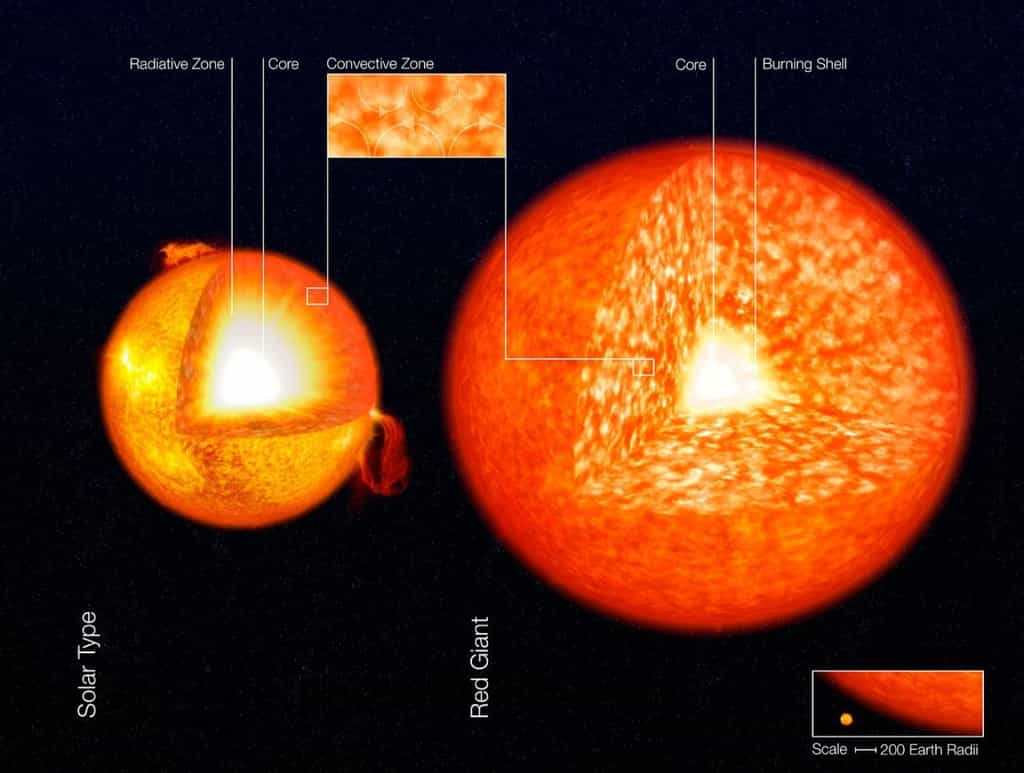Sur la gauche, on voit la structure interne du Soleil avec son cœur (core, en anglais) où l’hydrogène brûle pour donner de l’hélium. L’essentiel du Soleil est dominé par la zone radiative (jaune), celle où le transfert de chaleur se fait par rayonnement. En surface, on voit la zone convective, où c’est la convection dans un fluide (comme dans l’eau d’une casserole qui bout) qui assure ce transfert. Sur la partie droite de ce schéma, on voit une géante rouge beaucoup plus grande que le Soleil (échelle en bas à droite), dominée par la convection. Elle brûle son hydrogène autour de son cœur en hélium. © Eso