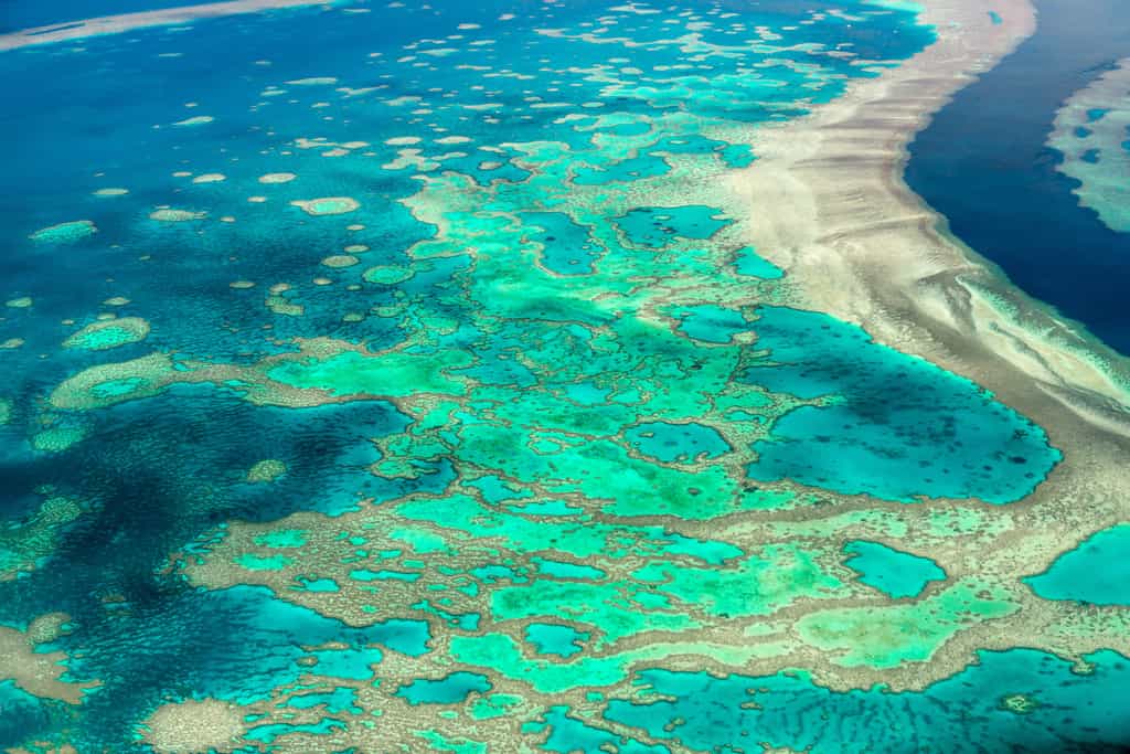 Pour sauver la Grande Barrière de corail, des passerelles Edge sont embarquées dans les navires des voyagistes. Ils permettent de transmettre les photos réalisées par les touristes, aux chercheurs. © Superjoseph, Adobe Stock