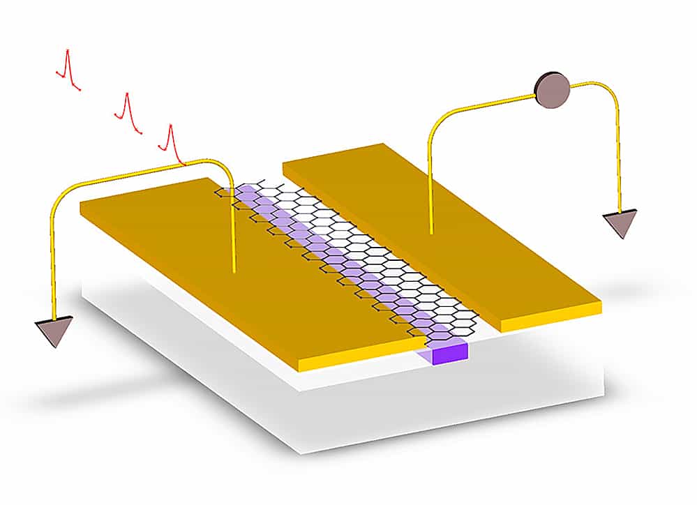 Pour augmenter le rendement des photodétecteurs utilisant un feuillet de graphène, des chercheurs ont étudié ce dispositif. La lumière (les pics rouges) arrive sur le détecteur à travers un guide d’onde en silicium gravé à la surface d'une puce. Une couche de graphène (avec sa structure en nid d'abeilles caractéristique) est déposée sur le guide d'onde. De chaque côté se trouve une électrode en or. Mais le placement des électrodes est asymétrique&nbsp;: cette stratégie devrait permettre le développement de puces pour des ordinateurs fonctionnant selon les principes de l'optronique. © MIT, Columbia University, IBM’s Thomas J. Watson Research Center