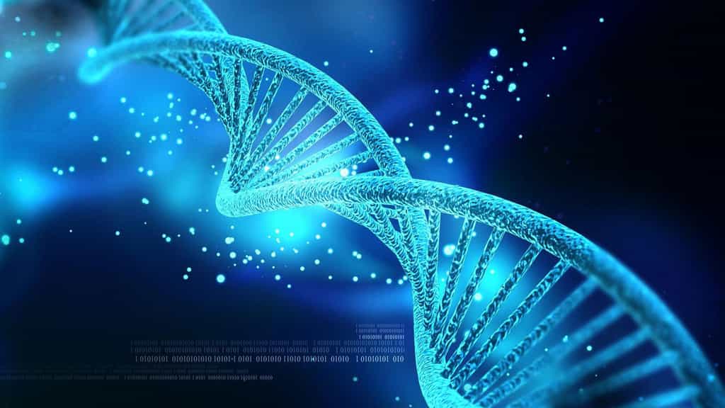 La découverte de l'ADN, cette précieuse molécule
