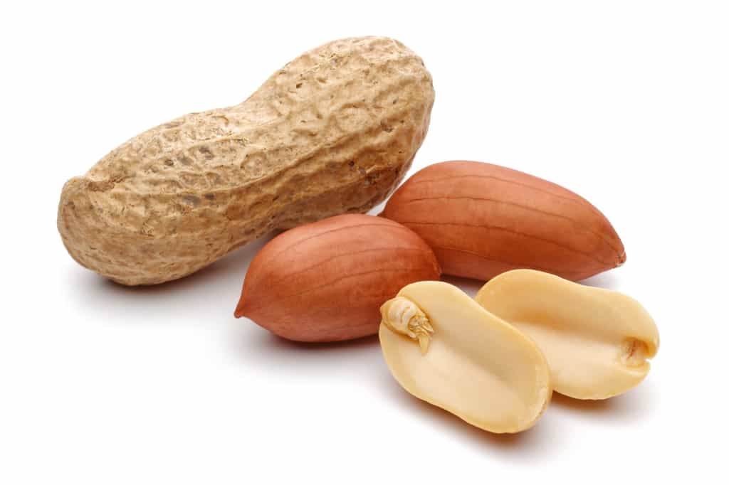 L’arachide, ou cacahuète, est à l’origine d’une grave allergie alimentaire. © mahirart, Fotolia
