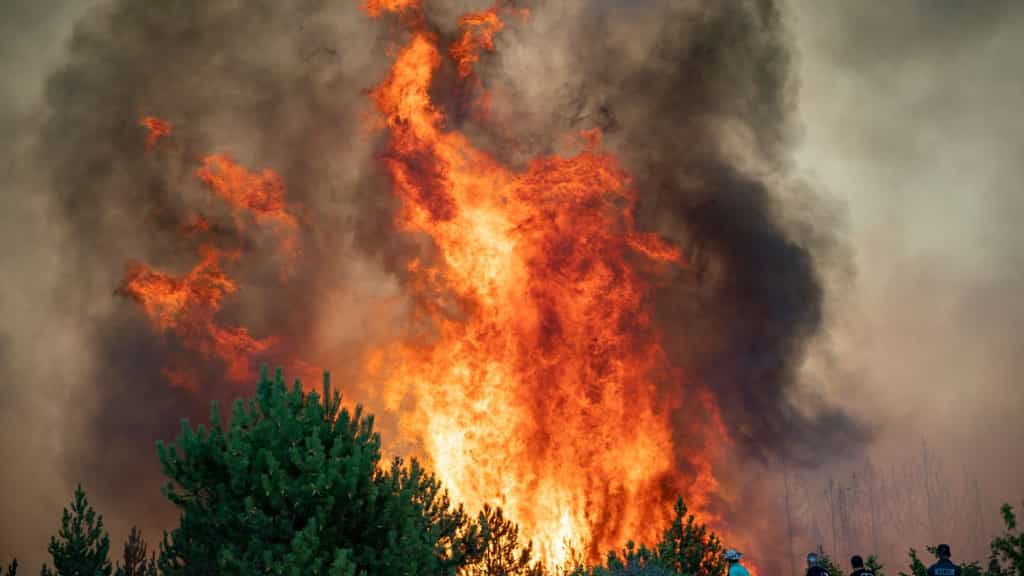 Plus de 30 incendies se sont déclarés dans le Morbihan en l'espace d'un week-end. © Canva