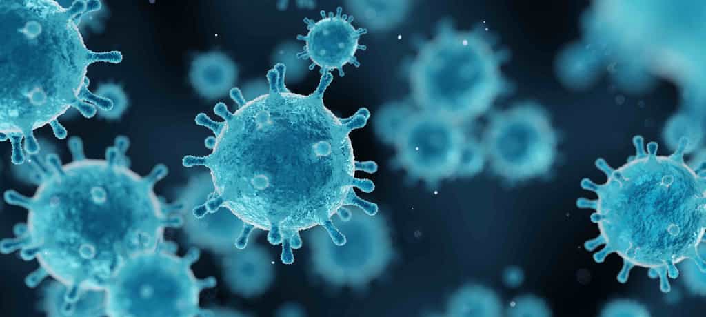 La découverte d'un nouveau virus est extrêmement rare ! © Creative Wonder, Adobe Stock