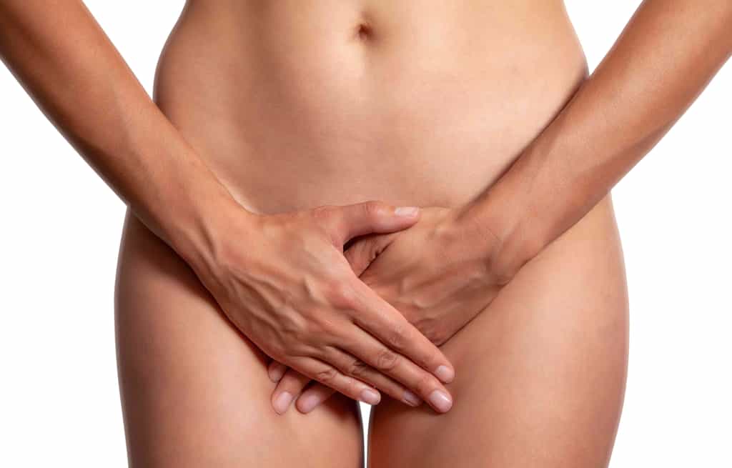 Le microbiote vaginal joue un rôle important à ne pas sous-estimer. © laurencesoulez, Adobe Stock