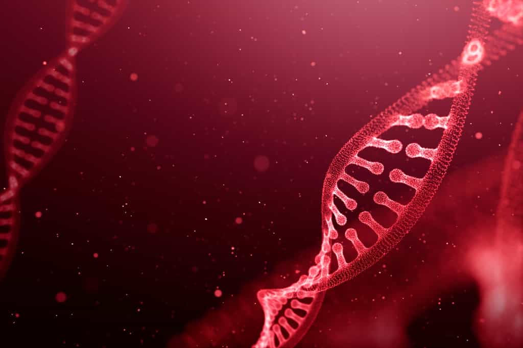 Le virus de la variole du singe qui circule en 2022 a gagné des mutations génétiques qui pourraient expliquer son succès épidémique. © phive2015, Fotolia