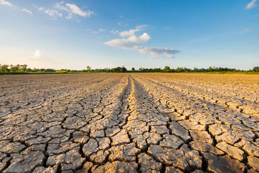 La sécheresse de 2022 est liée à des anticyclones bien plus puissants que ceux du passé. © neenawat555, Adobe Stock