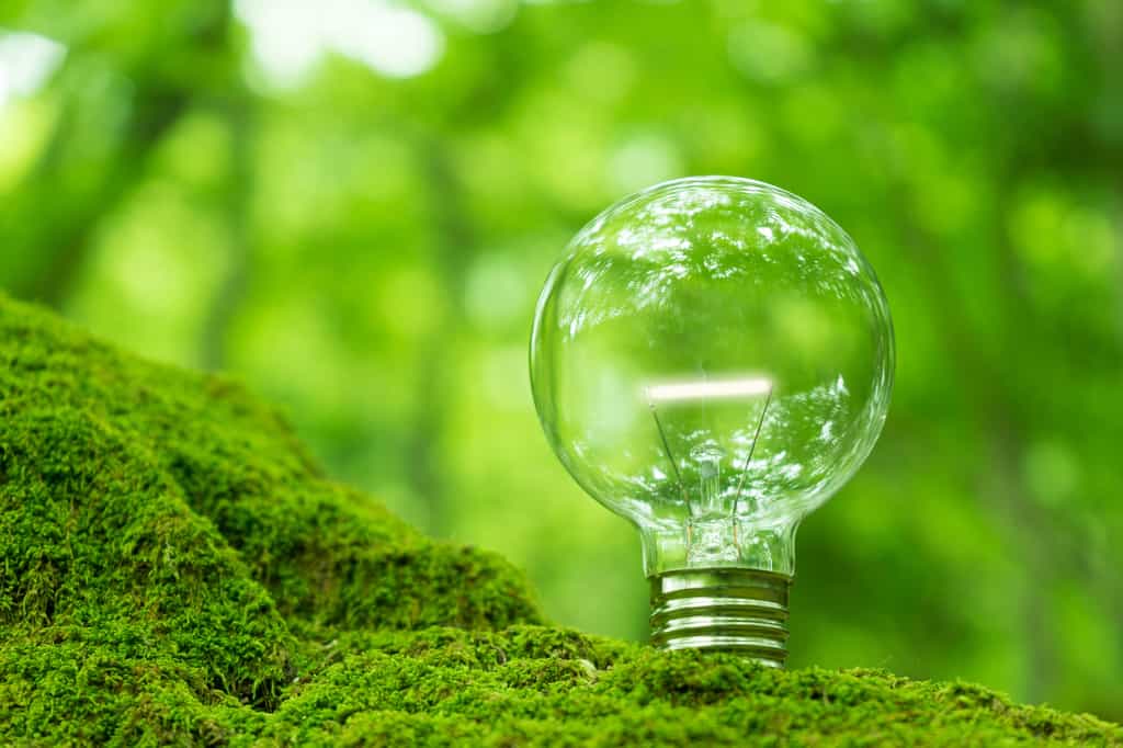 Leader dans les énergies bas carbone, EDF est convaincu que la collaboration avec les start-up fera émerger les solutions et les services innovants indispensables pour atteindre la neutralité carbone. © NOBU