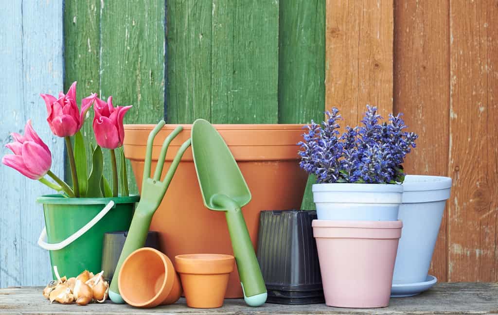 Terre cuite ou plastique, quelle matière choisir pour un pot ou une jardinière ?