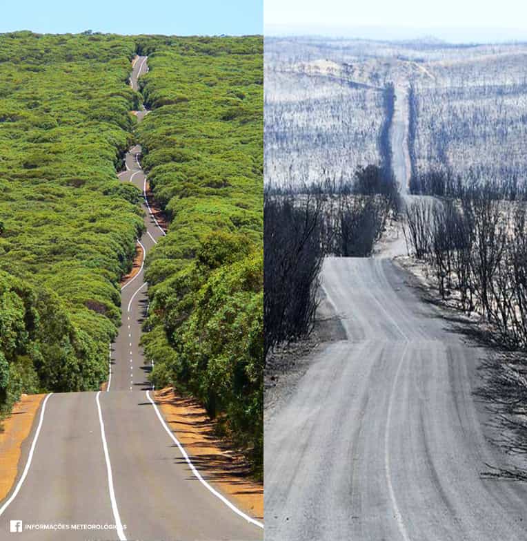 La route menant au parc national de Flinders Chase sur l'île de Kangourou avant et après les incendies. © Facebook
