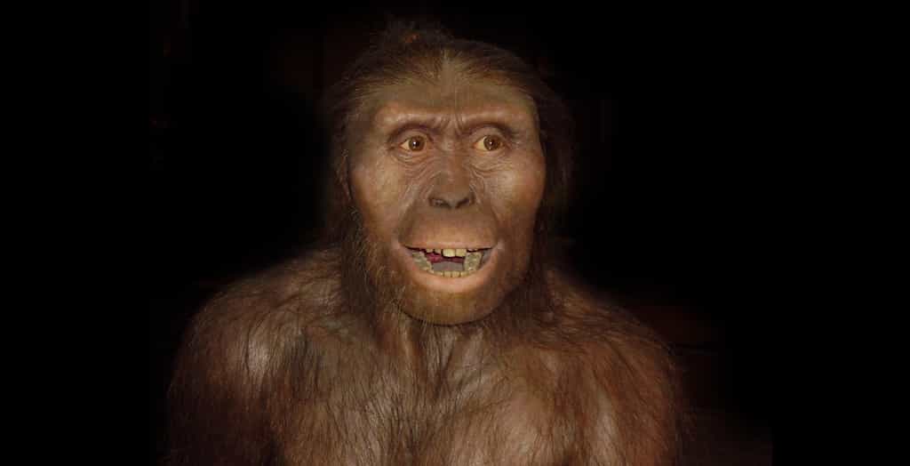 Une reconstitution de la plus célèbre des australopithèques, Lucy. © Wikimedia Commons, CC asa 3.0