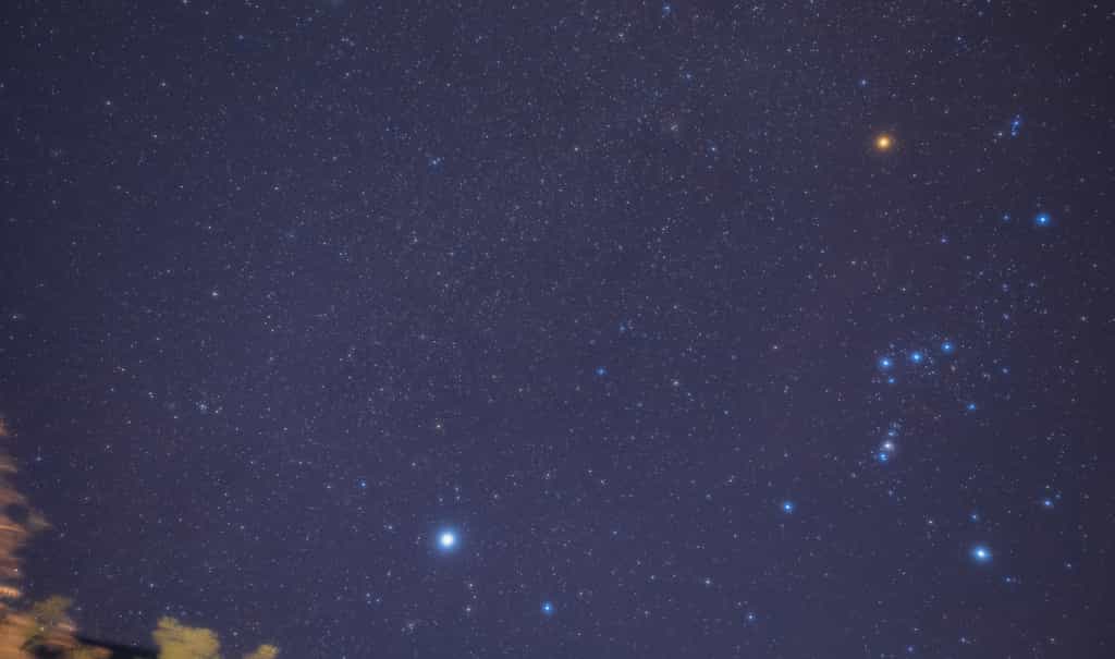 L'étoile Bételgeuse apparaît rouge-orange à l'œil nu. Elle l'une des étoiles les plus brillante&nbsp;d'Orion. © Sepe44, Adobe Stock