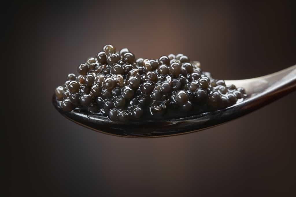 La production de caviar s'est mondialisée mais il reste un mets de luxe. © Rafique, Fotolia